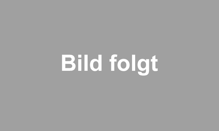 Herr Hirt